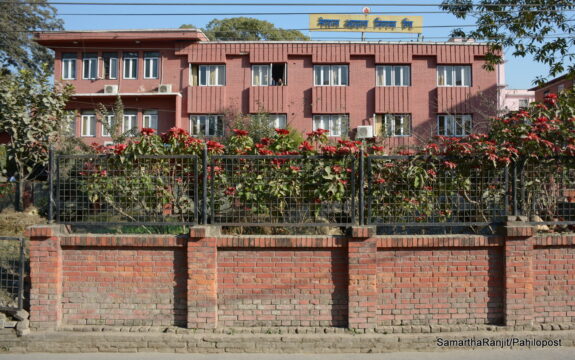 नेपाल आयल निगमले माग्यो १ सय २८ जना कर्मचारी, निर्देशकदेखि अपरेटर तहसम्म माग