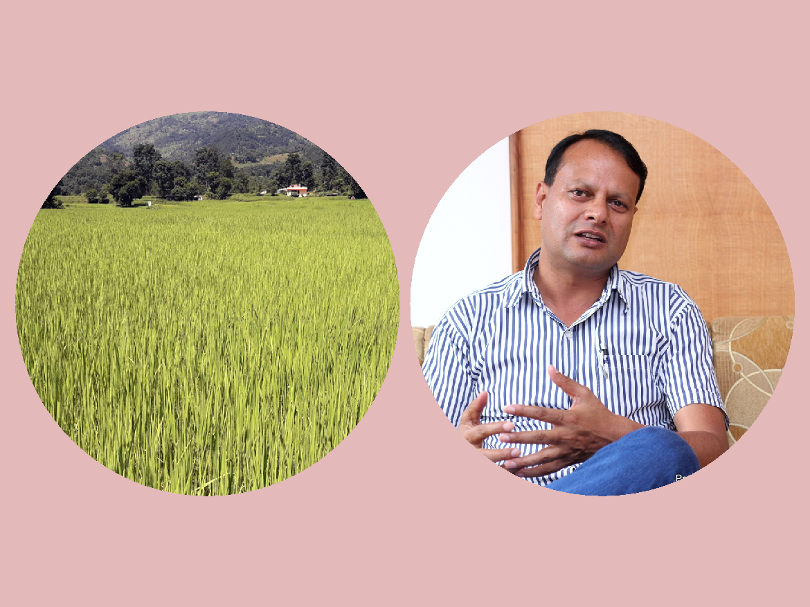 कृषिको आयात प्रतिस्थापनः विश्लेषणात्मक १० आधारहरु, भरतराज ढकालको विचार