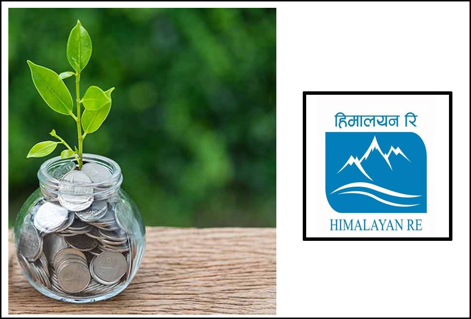 हिमालयन रिइन्स्योरेन्स कम्पनीको बीमाशुल्क उल्लेख्य वृद्धि, तर नाफा भने ६२ प्रतिशतले घट्यो हिमालयन रिइन्स्योरेन्स कम्पनीको बीमाशुल्क उल्लेख्य वृद्धि, तर नाफा भने ६२ प्रतिशतले घट्यो
