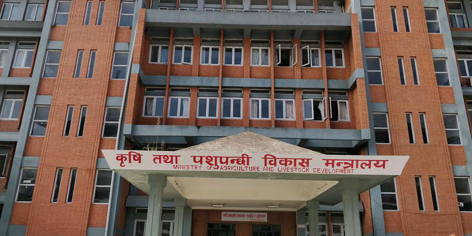 दुग्ध विकास संस्थानमा महाप्रबन्धक पदका लागि दरखास्त माग, के चाहिन्छ योग्यता?
