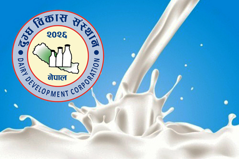 डीडीसीले दूधको मूल्य लिटरमा ११ रुपैयाँ बढायो, अब आधा लिटरको प्याकेटको मूल्य ४८.५० रुपैयाँ