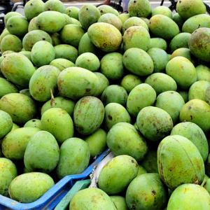 थोकमा आँप विस्तारै सस्तिँदा लिच्चीको मूल्य स्थिर, कालीमाटीमा कस्तो छ भाउ?
