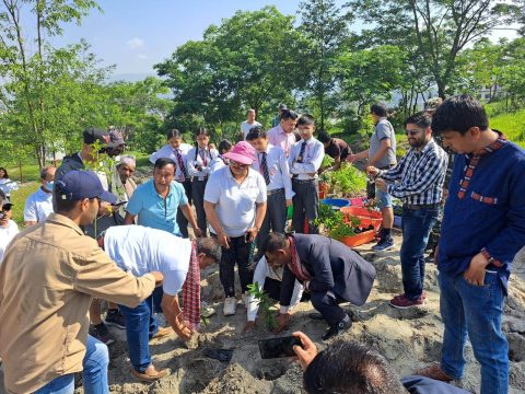विद्युतीय गाडी बिक्री गर्ने बीवाइडीले वातावरण दिवसको अवसर पारेर १५ सय विरुवा रोप्यो