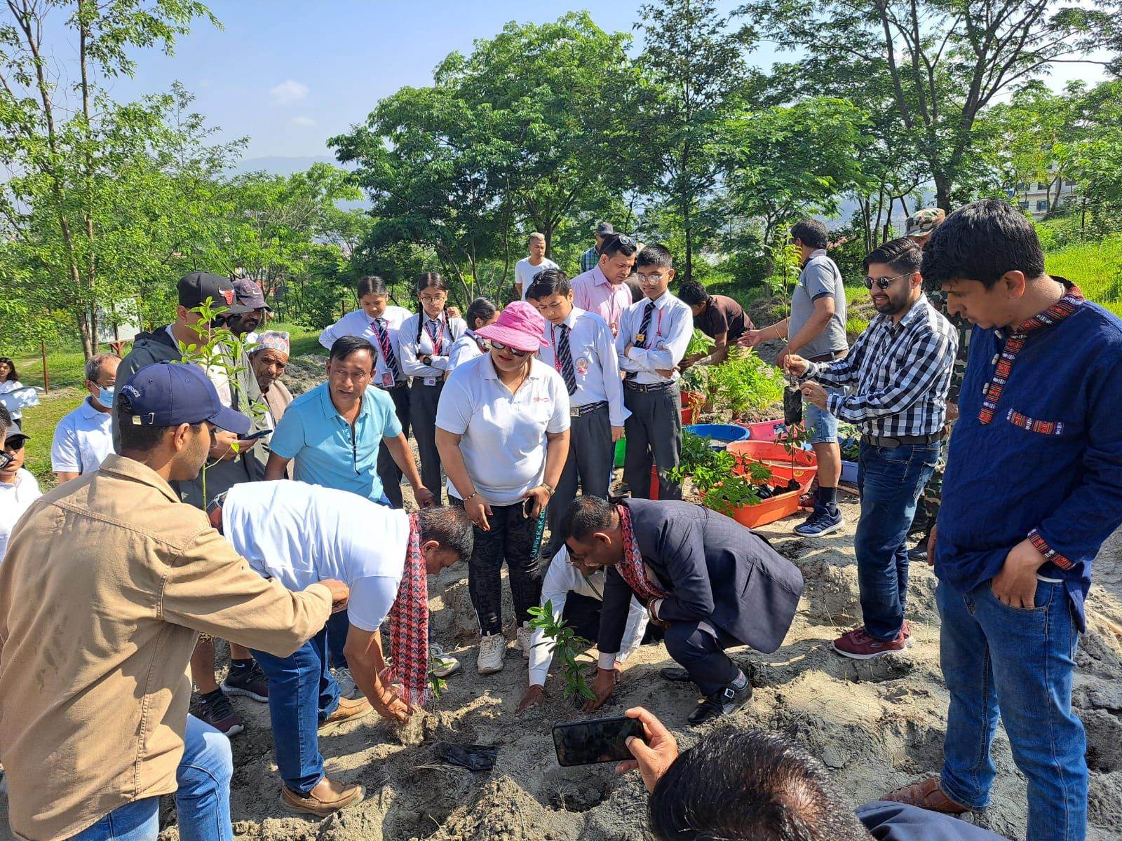 विद्युतीय गाडी बिक्री गर्ने बीवाइडीले वातावरण दिवसको अवसर पारेर १५ सय विरुवा रोप्यो विद्युतीय गाडी बिक्री गर्ने बीवाइडीले वातावरण दिवसको अवसर पारेर १५ सय विरुवा रोप्यो