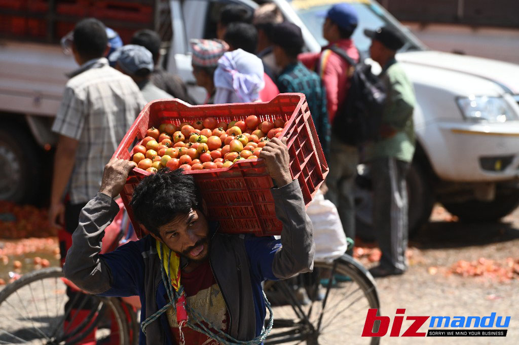 महिना दिनअघि ६ रुपैयाँमा पनि नबिकेर फालिएको गोलभेँडाको मूल्य एकाएक आकासियो