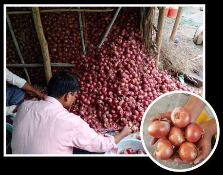 तरकारीमा भ्याट लाग्दा असर भान्सासम्मः ४५/५० को प्याज पुग्यो प्रतिकिलो ६० रुपैयाँ  