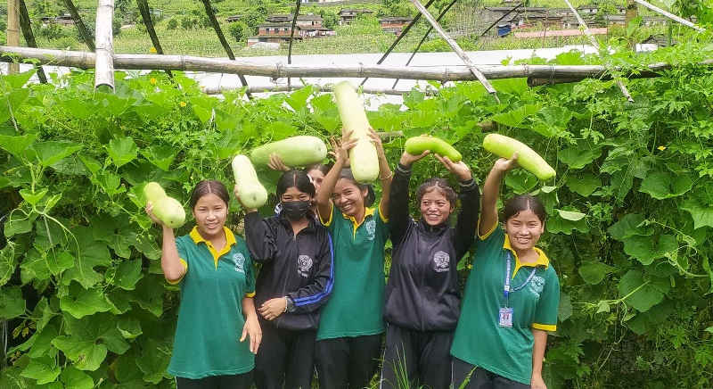 किसानी माविमा सिक्दै कमाउँदै कार्यक्रम: विद्यार्थीले प्रयोगात्मकमा गरेको तरकारी खेती बन्यो व्यावसायिक
