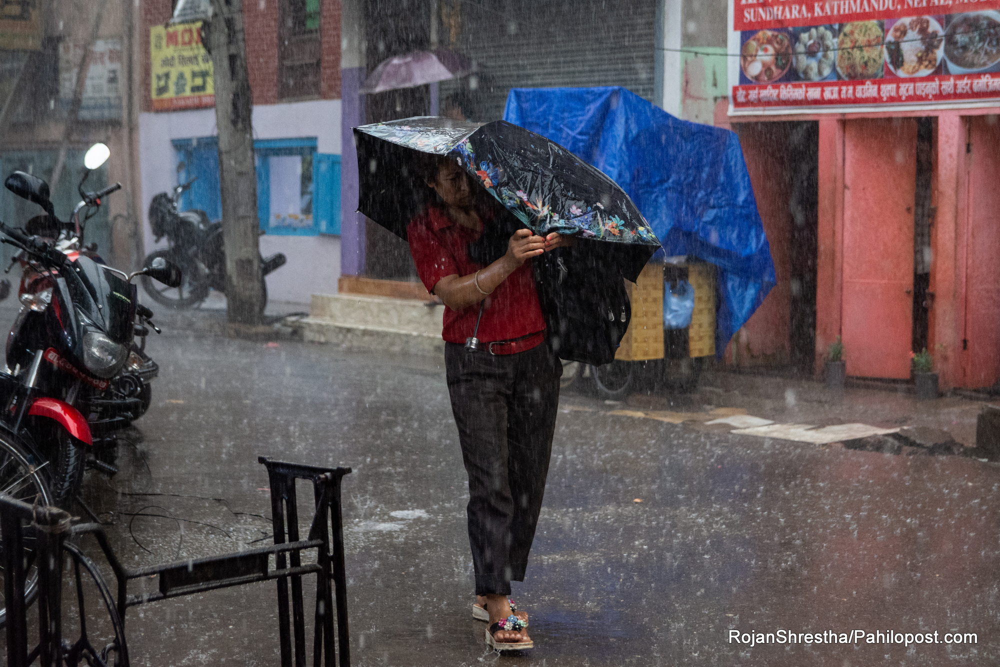 नेपालमा मनसुनको प्रभाव : कोशी, वाग्मती, लुम्बिनी र सुदूरपश्चिममा भारी वर्षाको सम्भावना