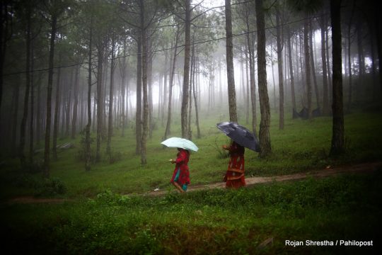 आजको मौसम पूर्वानुमान : यी चार प्रदेशमा मेघगर्जनसहित मुसलधारे वर्षा, तराईमा हावाहुरी