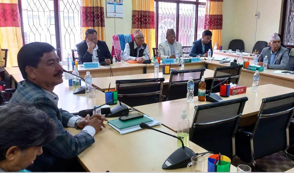 भीआईपीका नाममा भइरहेको दोहनप्रति संसदीय समितिको चासो, जनशक्ति फिर्ता गराउन निर्देशन भीआईपीका नाममा भइरहेको दोहनप्रति संसदीय समितिको चासो, जनशक्ति फिर्ता गराउन निर्देशन