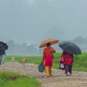 आजको मौसम : कोशी, मधेश, बागमती, गण्डकी र लुम्बिनीमा धेरै भारी वर्षाको सम्भावना