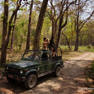 चितवन राष्ट्रिय निकुञ्जमा असार १५ गतेदेखि जिप सफारी बन्द, असोजमा मात्र खुला हुने