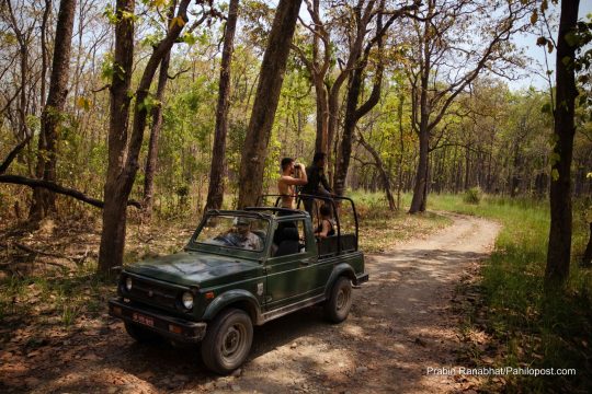 चितवन राष्ट्रिय निकुञ्जमा असार १५ गतेदेखि जिप सफारी बन्द, असोजमा मात्र खुला हुने