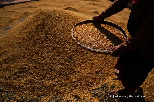 वैदेशिक रोजगारीबाट फर्किएका जनशक्तिलाई कृषि उद्यममा आकर्षित गर्ने सरकारको नीति