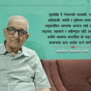 यसरी भयो मारवाडी समुदायको नेपाल आगमन र बढ्यो प्रभाव : प्राध्यापक पाण्डेको विचार