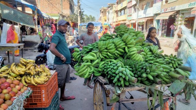 केरा अचाक्ली महँगो, अफसिजन भन्दै व्यापारी घटाउँदैनन् भाउ, मन्त्रालयले अध्ययन गर्दै