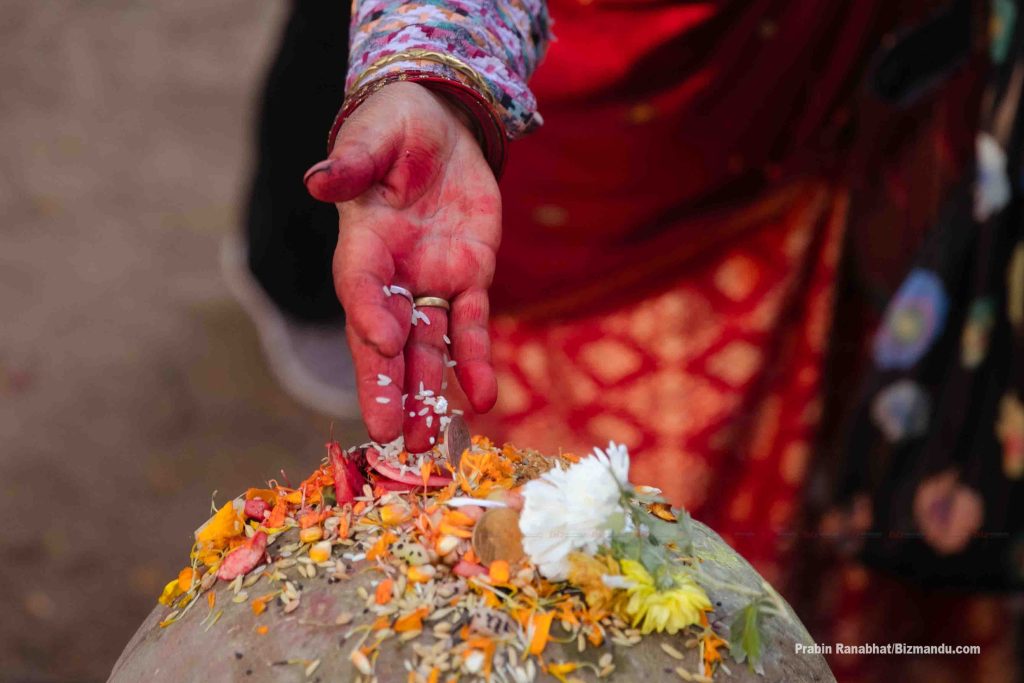 पशुपतिनाथ परिसरमा बालाचतुर्दशीको धुमधाम‚ यसरी छरियो शतबीज (तस्वीर)