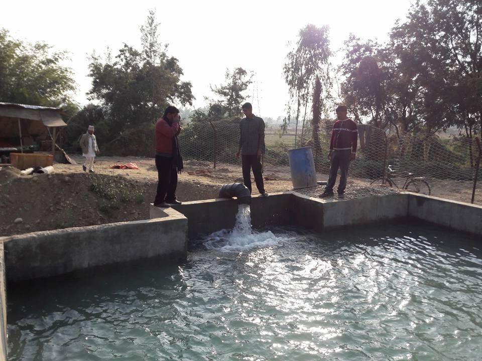 बक्यौता रकम नउठ्दा बर्दिबासको खानेपानी संस्था संकटमा, नतिर्नेमा व्यापारिक घरानाकै धेरै बक्यौता रकम नउठ्दा बर्दिबासको खानेपानी संस्था संकटमा, नतिर्नेमा व्यापारिक घरानाकै धेरै