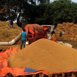 धानको कोटा दिन भारतको आनाकानी, व्यवसायीलाई आयातमा भन्सार उच्च पर्दा महँगिने भयो चामल