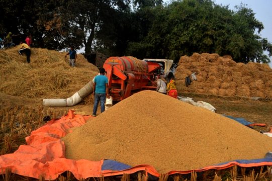 धानको कोटा दिन भारतको आनाकानी, व्यवसायीलाई आयातमा भन्सार उच्च पर्दा महँगिने भयो चामल