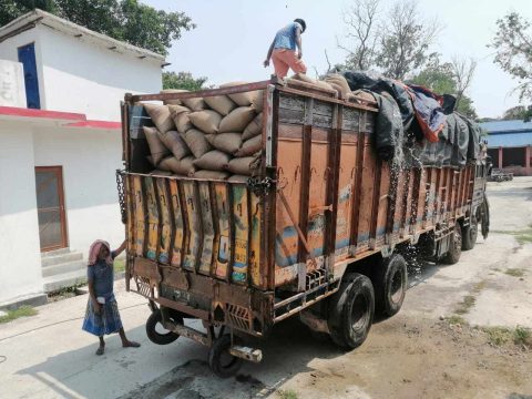 मकै र गहुँ भनेर भित्र्याइयो ३० हजार किलो चिनी, ट्रक नियन्त्रणमा लिएर अनुसन्धान गरिंदै