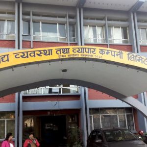 सरकारी मूल्यभन्दा बजारमा बढी पाउँदा गहुँ बेच्न किसान गएनन् जनकपुरको खाद्य कम्पनी