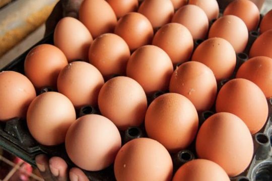 अण्डाको भाउ उत्पादकले १० दिनमा दोस्रोपटक बढाए, क्रेटमा १५ रुपैयाँ बढेपछि पुग्यो ४९५