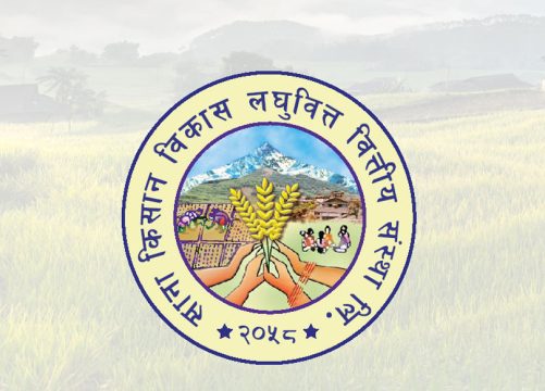 साना किसान विकास लघुवित्तको नाफामा वृद्धि, खराब कर्जा भने सकेन घटाउन