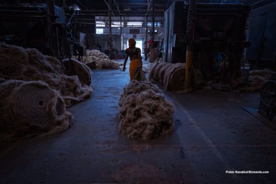 ‘गोल्डेन फाइबर’मा सुनौलो चमकको खोजी, जुटको विरासत कसरी फिर्ता ल्याउन सकिन्छ?  