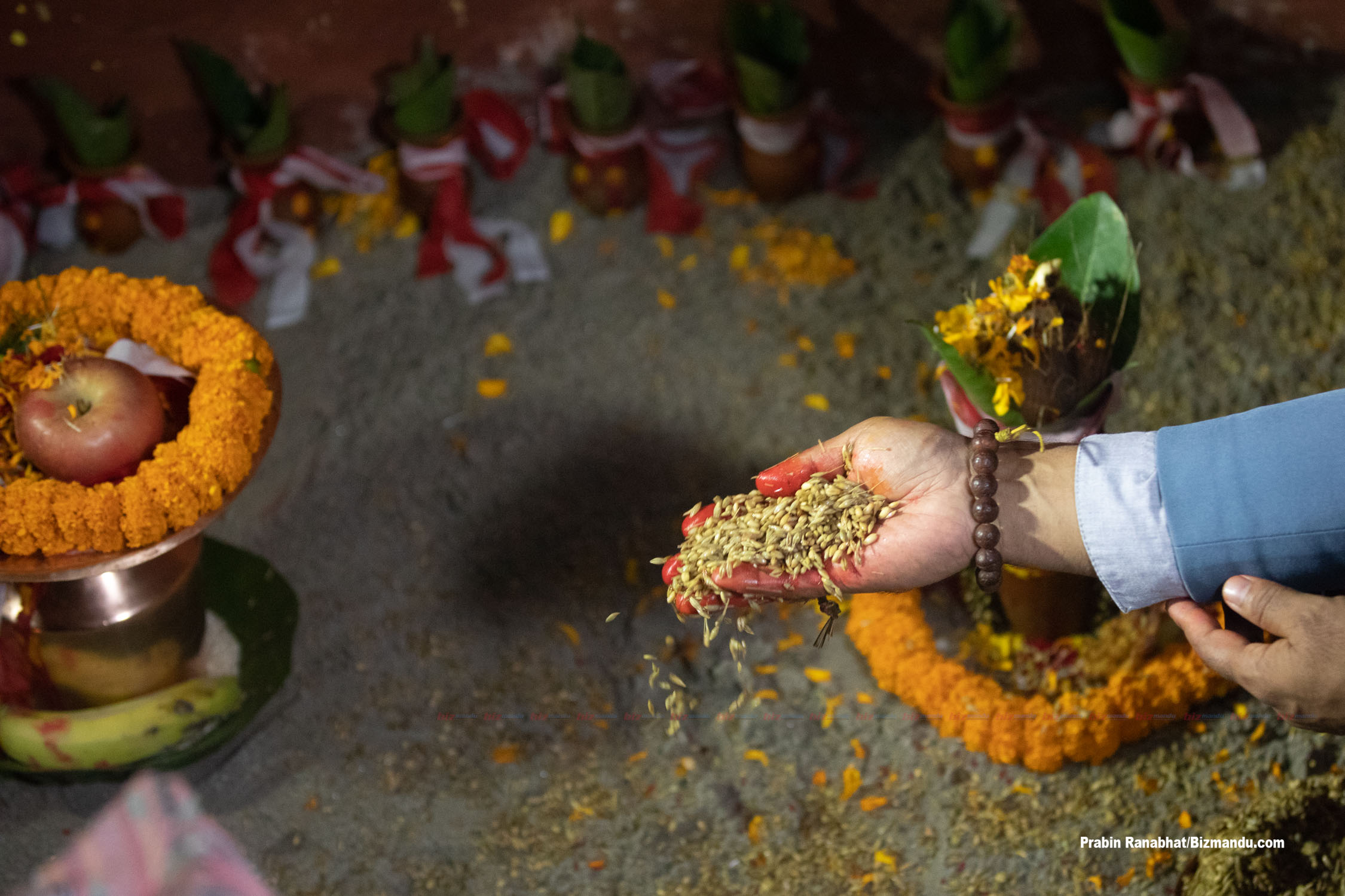 दसैं सुरु : हनुमानढोका दसैंघरमा घटस्थापनासँगै राखियो जमरा (तस्वीरहरु) दसैं सुरु : हनुमानढोका दसैंघरमा घटस्थापनासँगै राखियो जमरा (तस्वीरहरु)