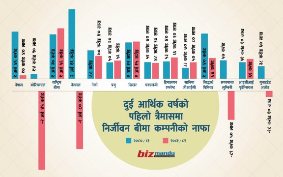 निर्जीवन बीमा कम्पनीको ब्यालेन्ससिट बिग्रिंदा लाइफ इन्स्योरेन्सले कसरी बढाए १८.६४% नाफा ?