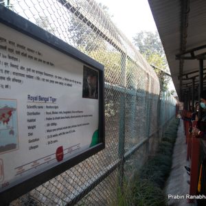 सदर चिडियाखानामा बर्ड फ्लु भेटियो, शुक्रबारदेखि अर्को सूचना जारी नभएसम्म बन्द हुने