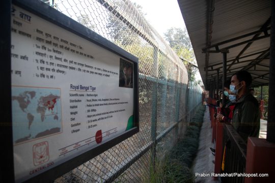 सदर चिडियाखानामा बर्ड फ्लु भेटियो, शुक्रबारदेखि अर्को सूचना जारी नभएसम्म बन्द हुने