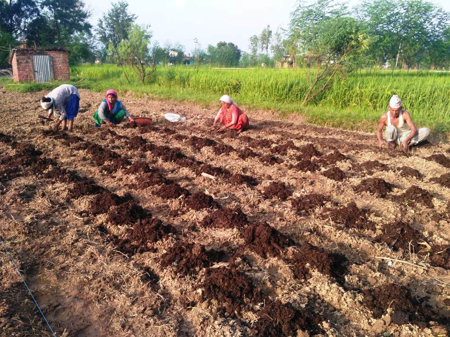 सहरी मात्र होइन ग्रामीण अर्थतन्त्र झनै चौपट, लघुवित्तले बैंकसँग पैसा लिनै छाडे सहरी मात्र होइन ग्रामीण अर्थतन्त्र झनै चौपट, लघुवित्तले बैंकसँग पैसा लिनै छाडे