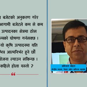 भारतीय बजेटले नेपालमा ल्याएको तरंग, राजस्व, सूचनाप्रविधि र कृषिमा प्रभाव : अविनाश बोहराको लेख