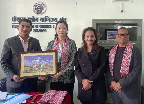 चीनको सिचुवान प्रान्तका व्यवसायीको टोली पोखरामा, उद्योग वाणिज्य संघमा भेटवार्ता
