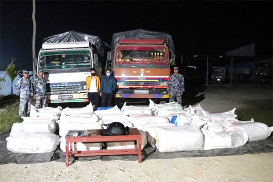 इलामबाट झापा झरेका ट्रकबाट १ हजार ६ सय किलो गाँजा बरामद, दुई जना पक्राउ