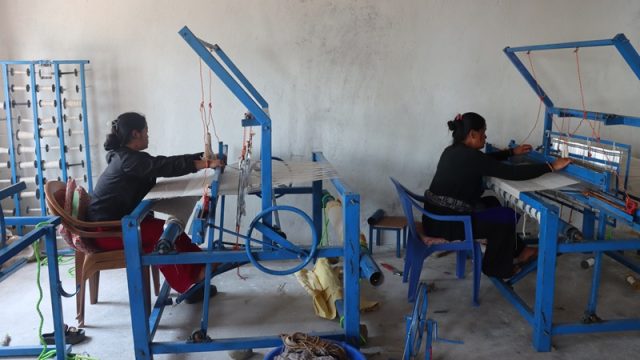 जंगलमा खेर गइरहेको अल्लोलाई गाउँमै प्रशोधन गरी कपडा उत्पादन, आम्दानीको स्रोत बनाउने लक्ष्य
