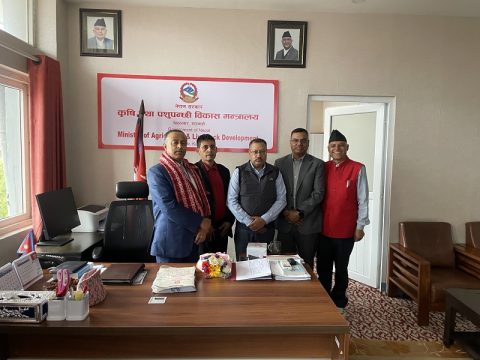 मोही ब्राण्डिङलाई प्रोत्साहित गर्न डेरी उद्योग संघको माग, भ्याट हटाए खपत बढ्ने दाबी