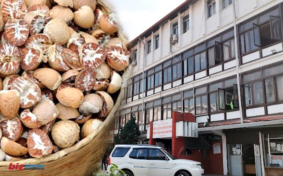 सुपारी तस्करीबाट कमाउने दाउमा धक्का, कागजी उद्योग देखाएर आयात गर्ने व्यवसायी डुबानमा