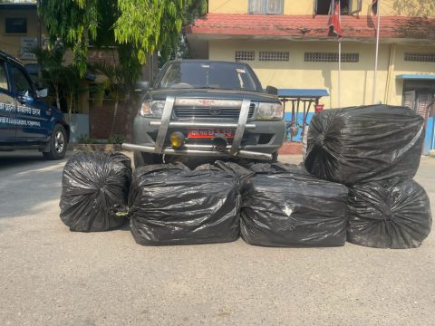 धरानमा रोकिराखेको गाडीबाट ३ क्वीन्टल गाँजा बरामद, फरार चालकलाई खोज्दै प्रहरी