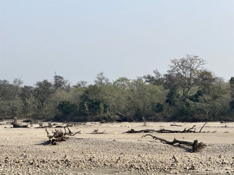 कर्णालीमा बर्सेनि बग्छन् करोडौंका काठ, संकलकलाई कानुन लाग्दा अवैध कारोबारलाई प्रश्रय