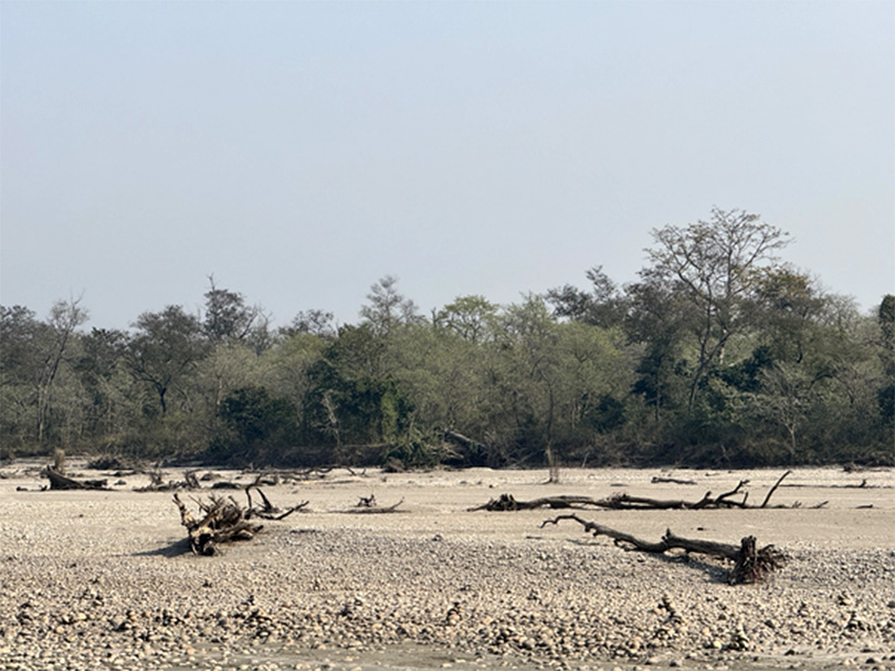 कर्णालीमा बर्सेनि बग्छन् करोडौंका काठ, संकलकलाई कानुन लाग्दा अवैध कारोबारलाई प्रश्रय कर्णालीमा बर्सेनि बग्छन् करोडौंका काठ, संकलकलाई कानुन लाग्दा अवैध कारोबारलाई प्रश्रय