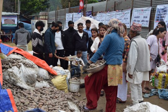 पोखरा आलु महोत्सवमा ६ दिनमा १७ लाखको बिक्री, ‘एक जनाले बढीमा २ क्वीन्टलसम्म लगे’