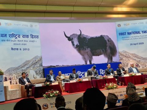 मनाइयो राष्ट्रिय याक दिवस : संरक्षण र प्रवर्धनमा संगठित प्रयास गर्नुपर्नेमा जोड