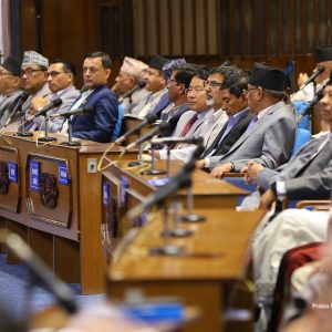 विष्णु पौडेलका १५ घोषणाले सांसद मख्ख, कस्ता कार्यक्रम रुचाए?