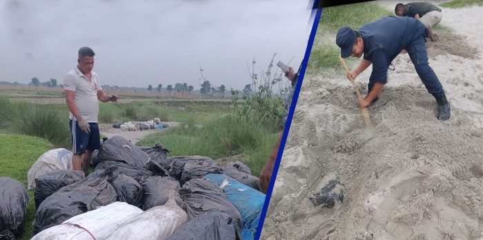 बगरमा पुरेर लुकाइएको ११२० किलो गाँजा बरामद, ओसारपसारमा संलग्न भेटिएनन्
