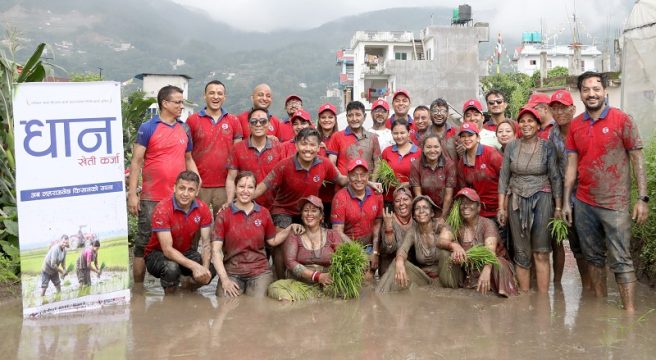 ग्लोबल आइएमई बैंकले धान दिवसमा ल्यायो ‘धान खेती कर्जा’, किसानले २० लाखसम्म ऋण पाउने