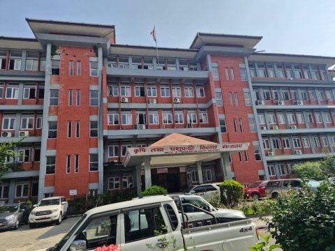 लम्पी स्किन र अफ्रिकन स्वाईन फिभर देखिएको स्थानमा टोली परिचालन गरिने