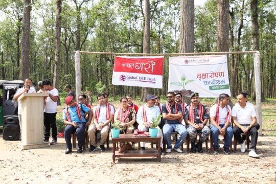 ग्लोबल आइएमई बैंकद्वारा झापाको चारआलीमा वृक्षरोपण, दुई हजार बोटविरुवा रोपियो